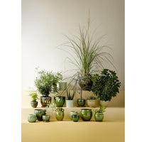 Bungalow Flower Pot Vital Grass