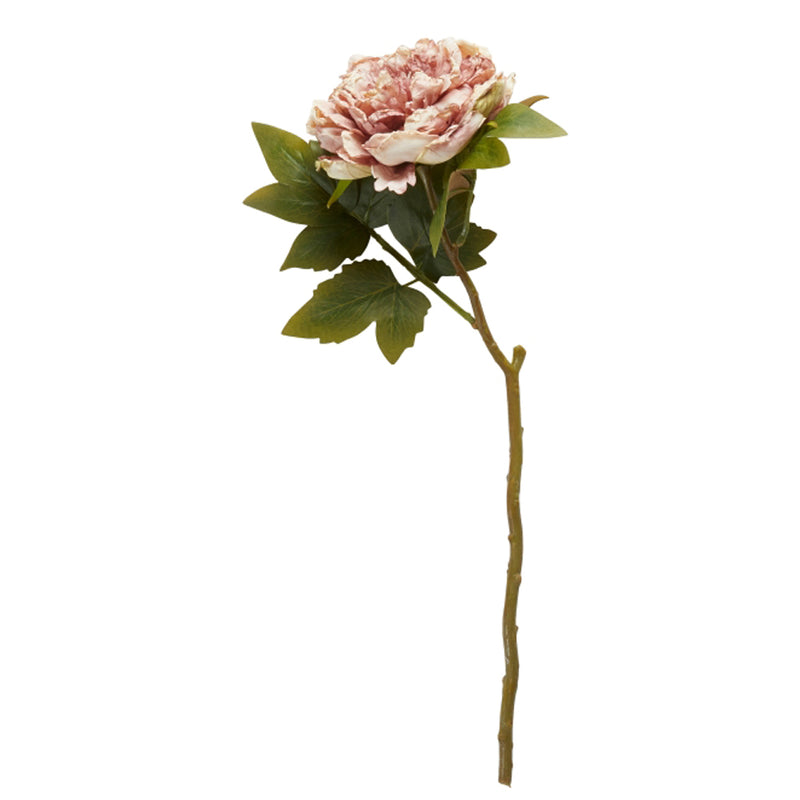 Speedtsberg Peon Stilk Plastik Rose 46cm