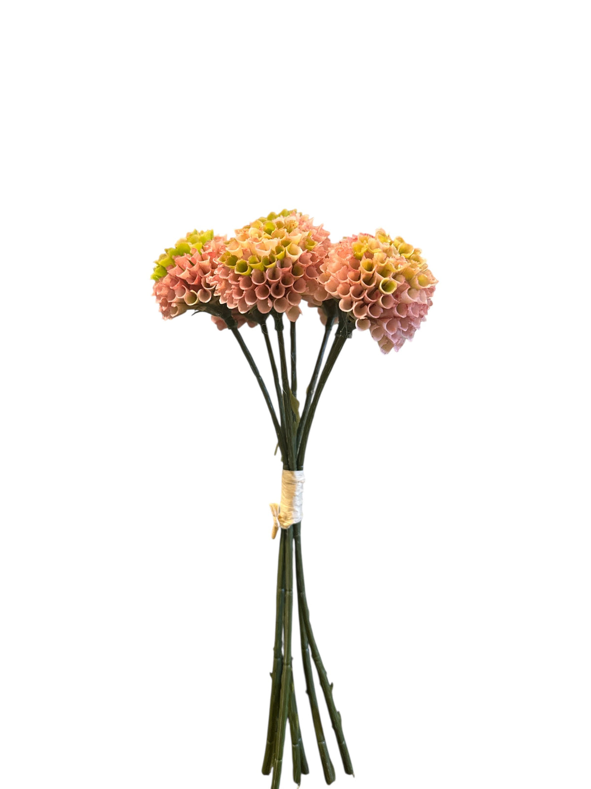 Barbara Dahlia sart rosa bundt 26cm