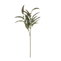 Speedtsberg Eucalyptus stilk 70cm
