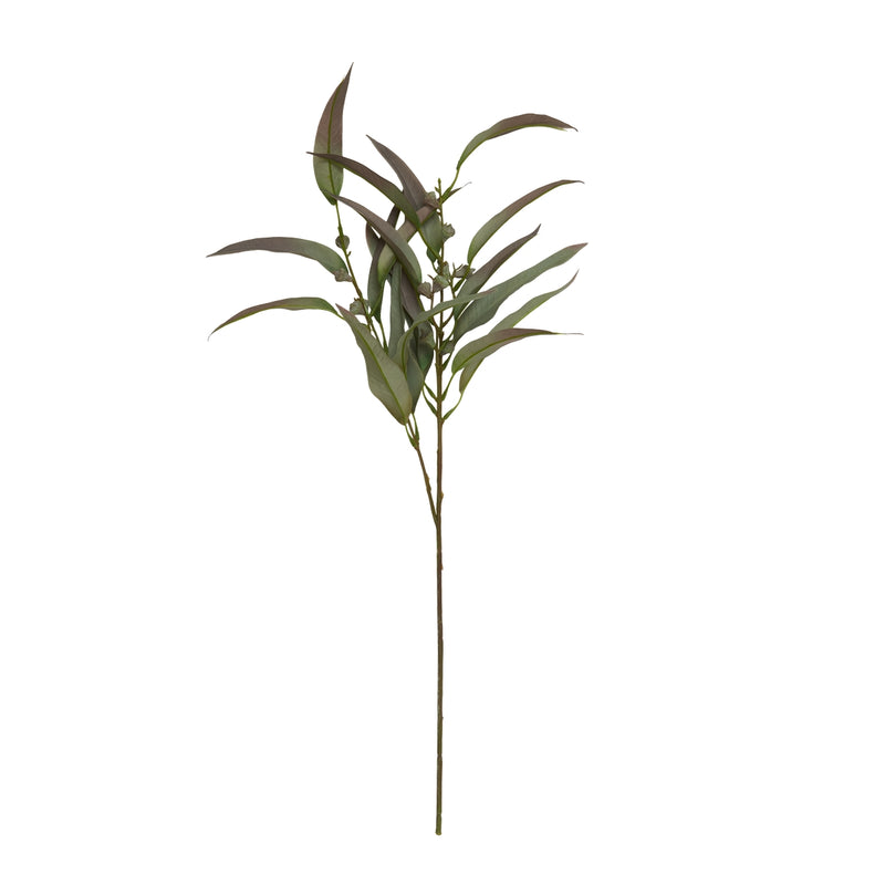 Speedtsberg Eucalyptus stilk 70cm