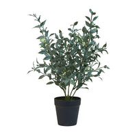 Speedtsberg Plante i potte 40cm