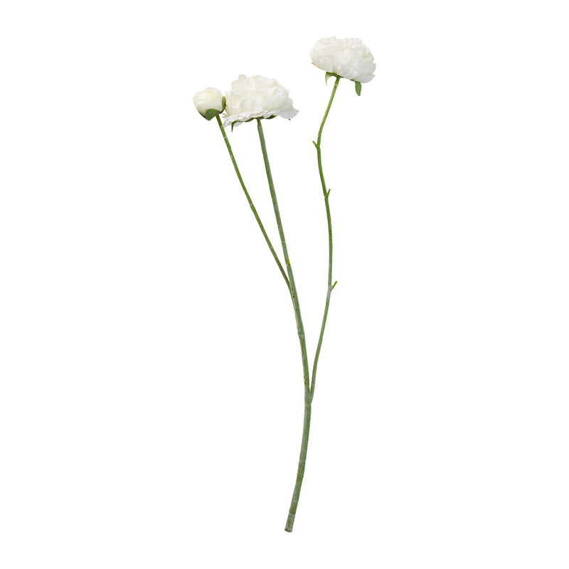 Speedtsberg Ranunkel stilk 48cm