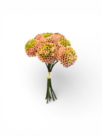 Barbara Dahlia sart rosa bundt 26cm