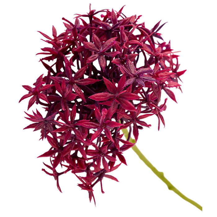 2Have Silkeblomst Allium H30cm Lilla
