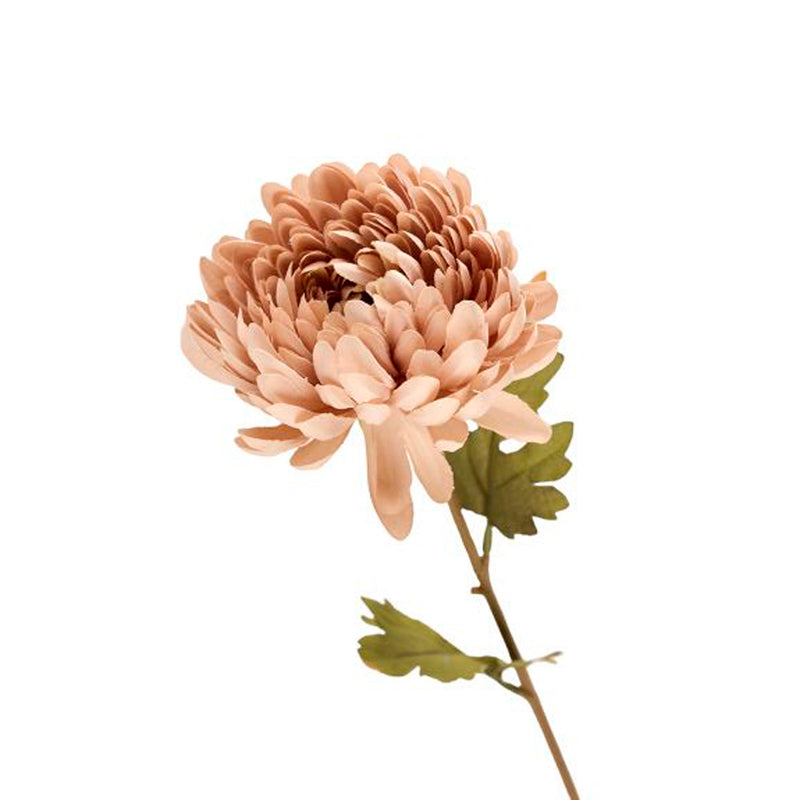 2Have Silkeblomst Chrysanthemum H65cm Nude