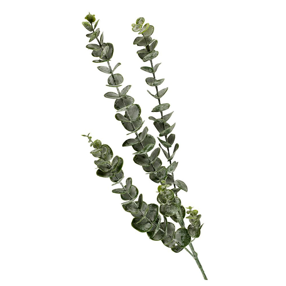 2Have Silkeblomst Eucalyptus Grøn H75cm