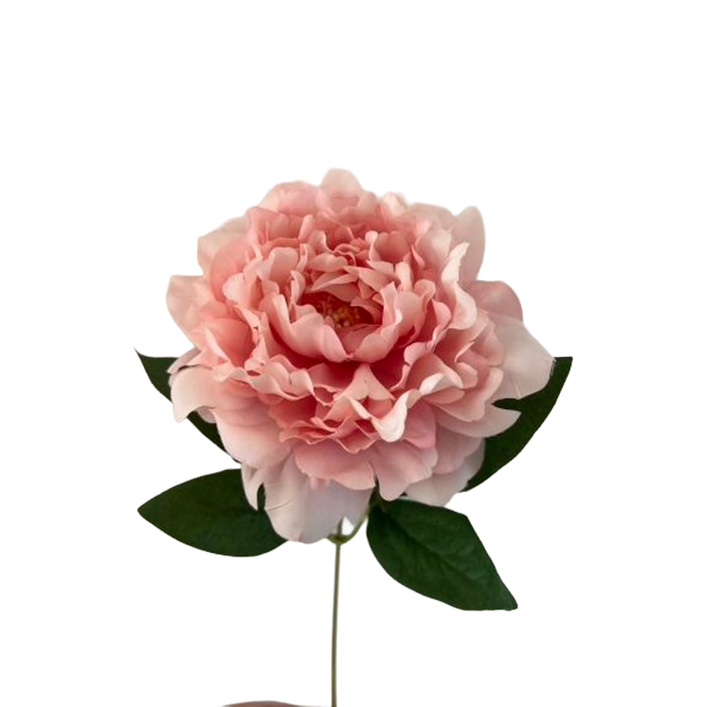 2Have Silkeblomst Pæon H18cm Pink