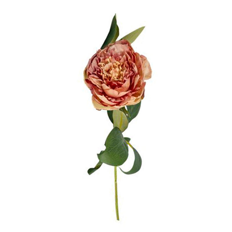 2Have Silkeblomst Pæon H70cm Antik Rosa