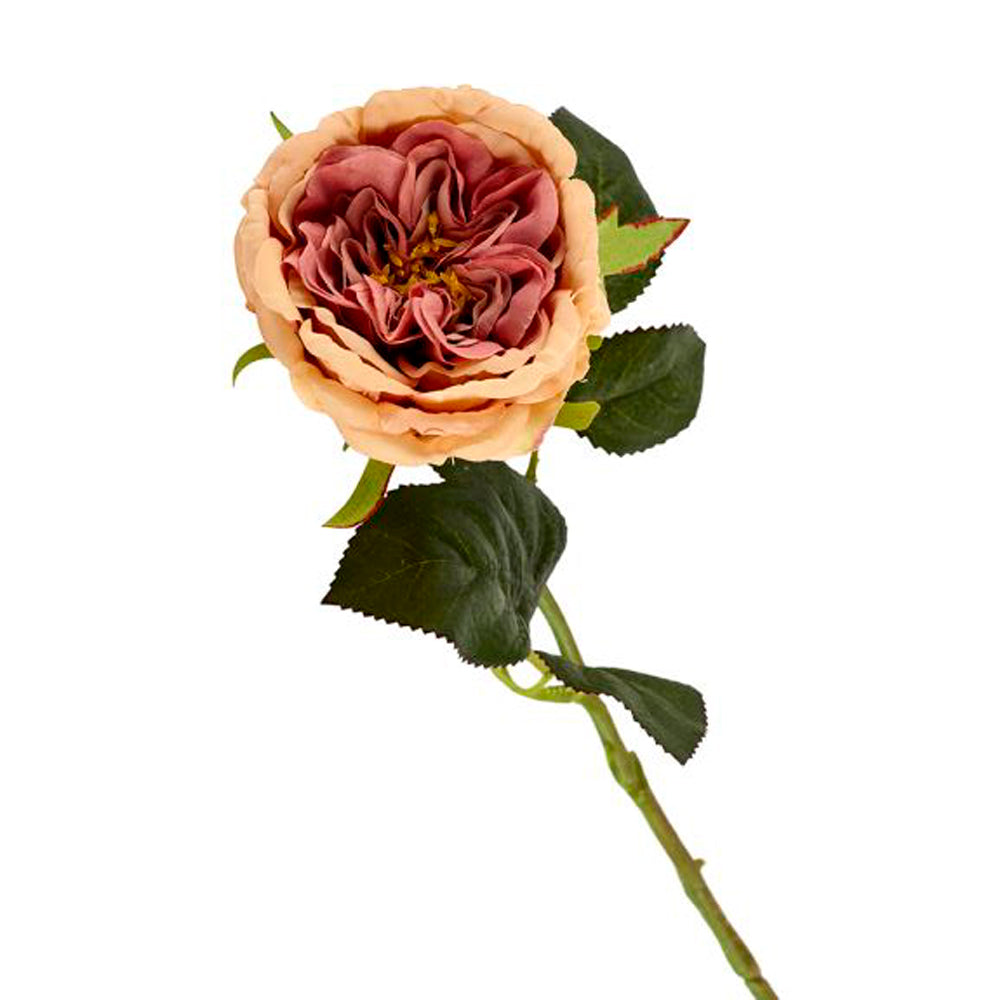2Have Silkeblomst Rose H35cm Dusty