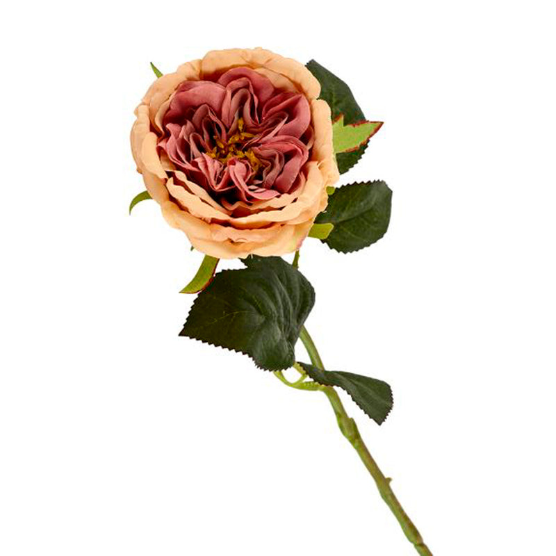 2Have Silkeblomst Rose H35cm Dusty