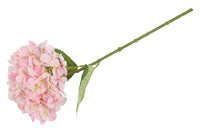 Barbara Hortensia stilk Rosa 40cm