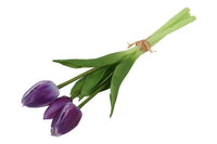 Barbara Tulipan bundt purple 29cm