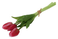 Barbara Tulipan bundt pink 29cm