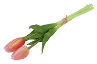 Barbara Tulipan bundt peach 29cm