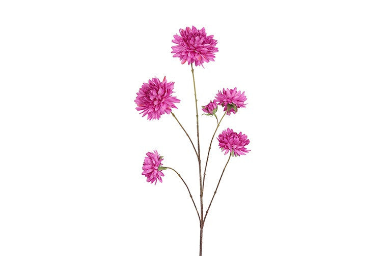 Barbara Dahlia stilk  pink 78cm