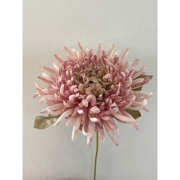 2Have Silkeblomst Krysantemum rosa 39cm