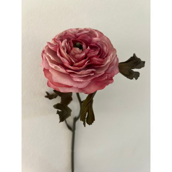 2Have Silkeblomst Ranunkel dusty rose 36cm