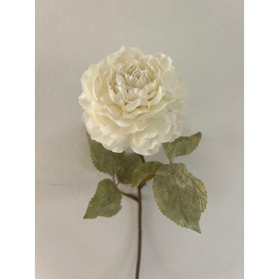 2Have Silkeblomst Rose hvid 56cm