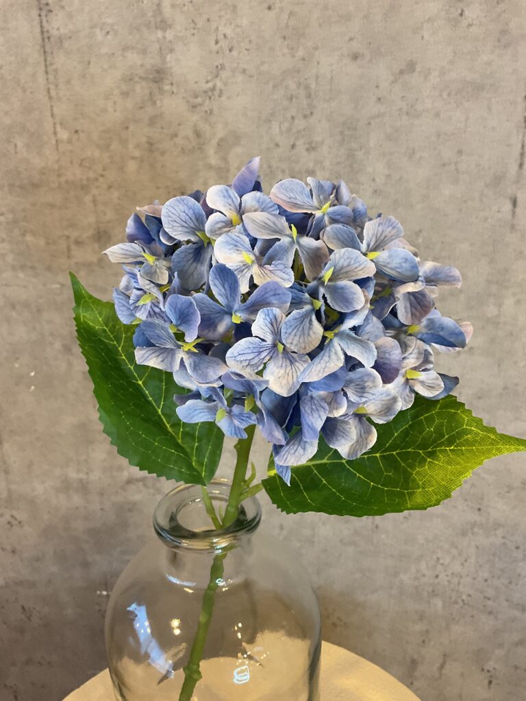 Barbara Hortensia stilk blå 40cm