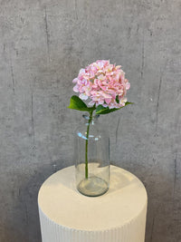Barbara Hortensia stilk Rosa 40cm