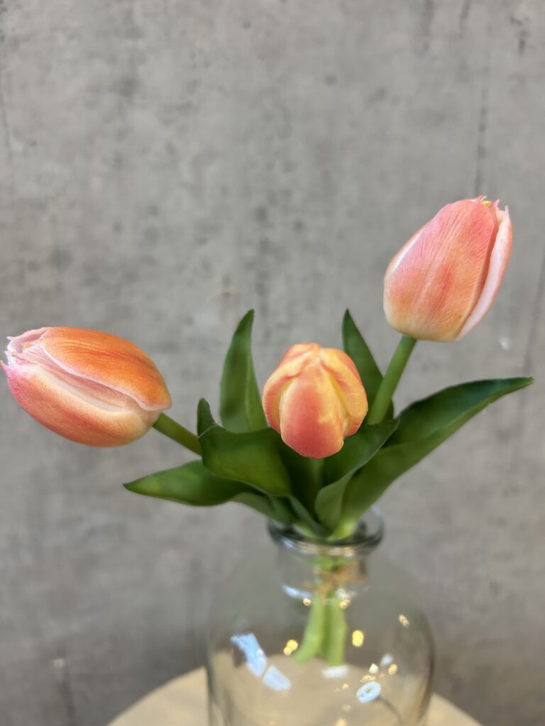 Barbara Tulipan bundt peach 29cm