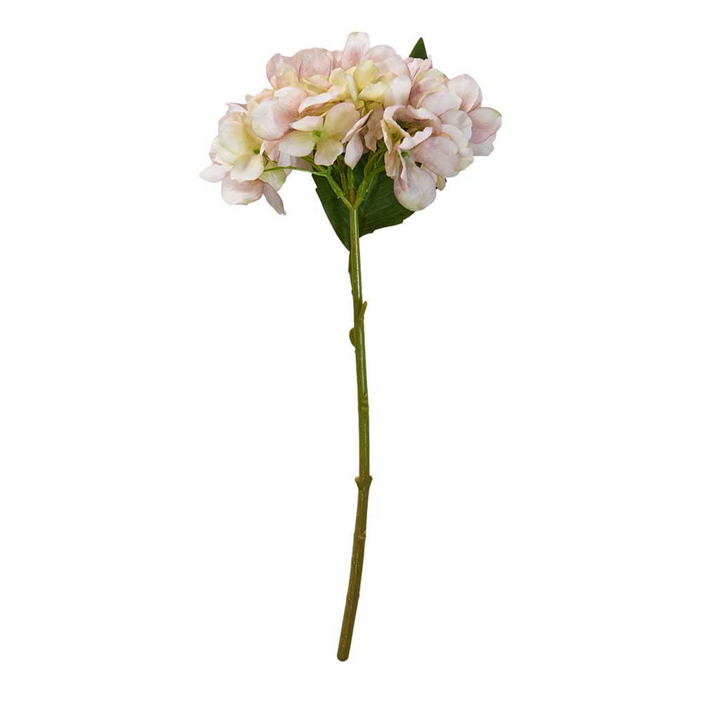 Speedtsberg Hortensia Stilk lys Rosa 36cm