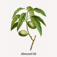 Panier Des Sens Soothing Almond Shower Oil 200ml