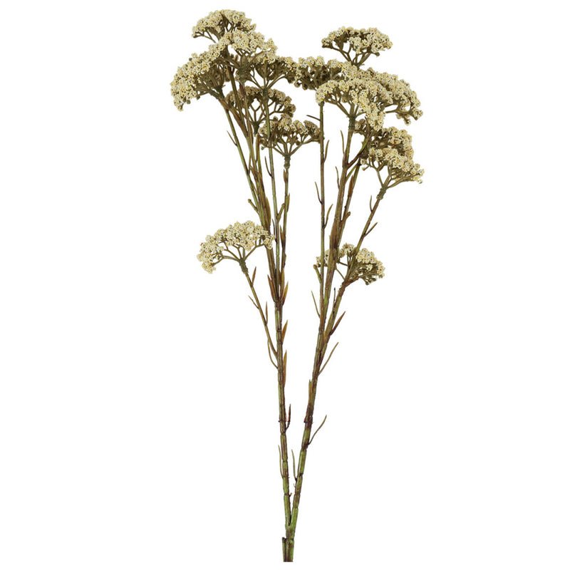 Barbara Achillea Gren Beige H66cm