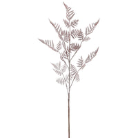 Barbara Asparagus Lys Bordeaux H90cm