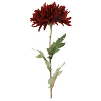 Barbara Chrysanthemum Bordeaux H68cm