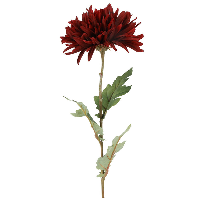 Barbara Chrysanthemum Bordeaux H68cm