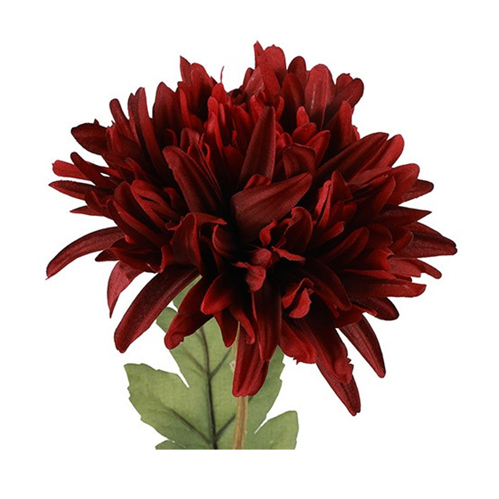 Barbara Chrysanthemum Bordeaux H68cm