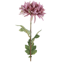 Barbara Chrysanthemum Lilla H68cm