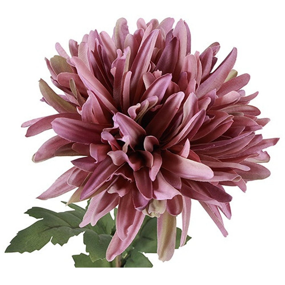 Barbara Chrysanthemum Lilla H68cm