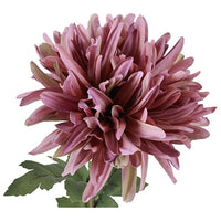 Barbara Chrysanthemum Lilla H68cm