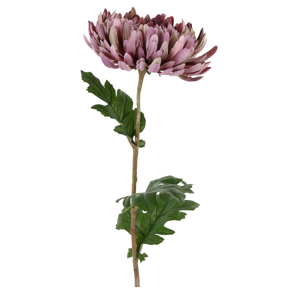 Barbara Chrysanthemum Lilla H68cm