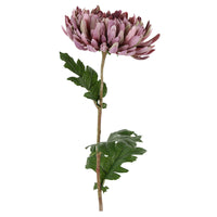 Barbara Chrysanthemum Lilla H68cm