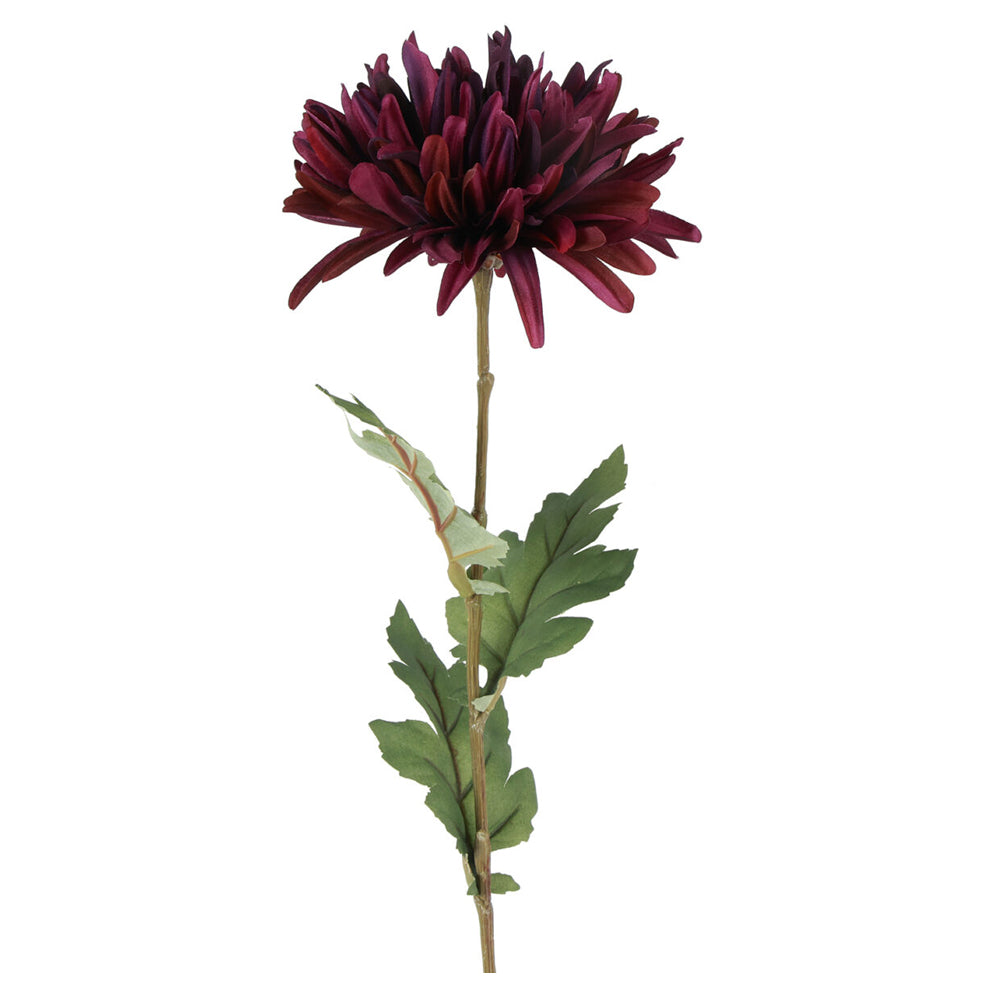 Barbara Chrysanthemum Purple H68cm