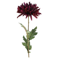 Barbara Chrysanthemum Purple H68cm
