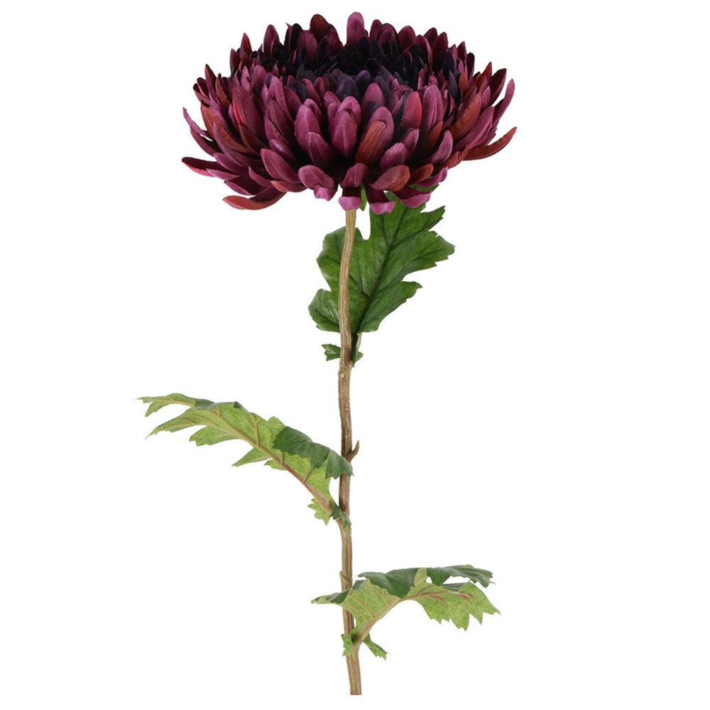 Barbara Chrysanthemum Purple H76cm