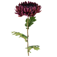 Barbara Chrysanthemum Purple H76cm