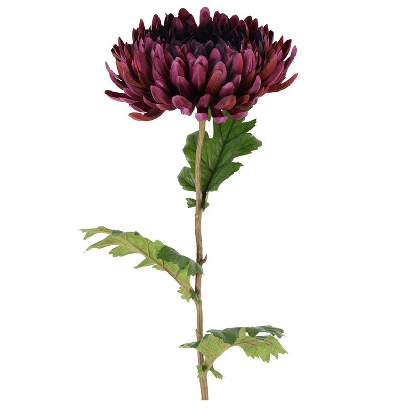 Barbara Chrysanthemum Purple H76cm