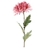 Barbara Chrysanthemum Rosa H68cm