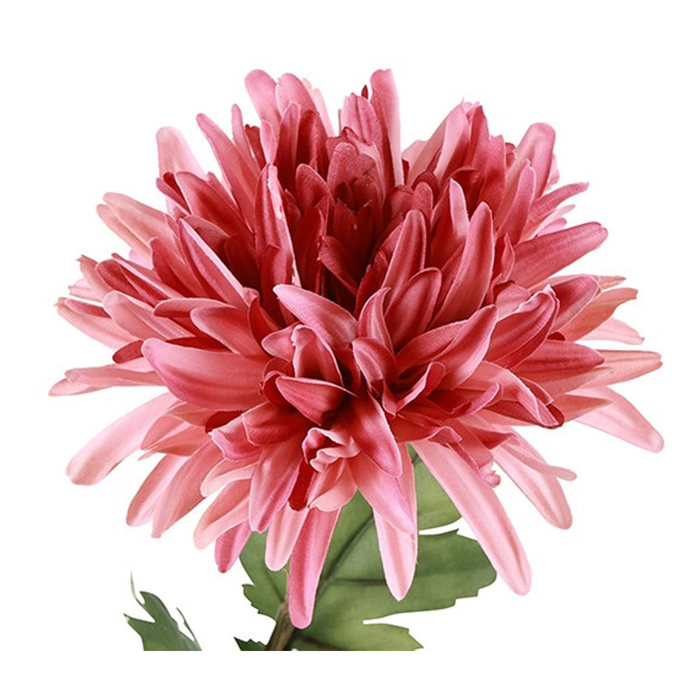 Barbara Chrysanthemum Rosa H68cm