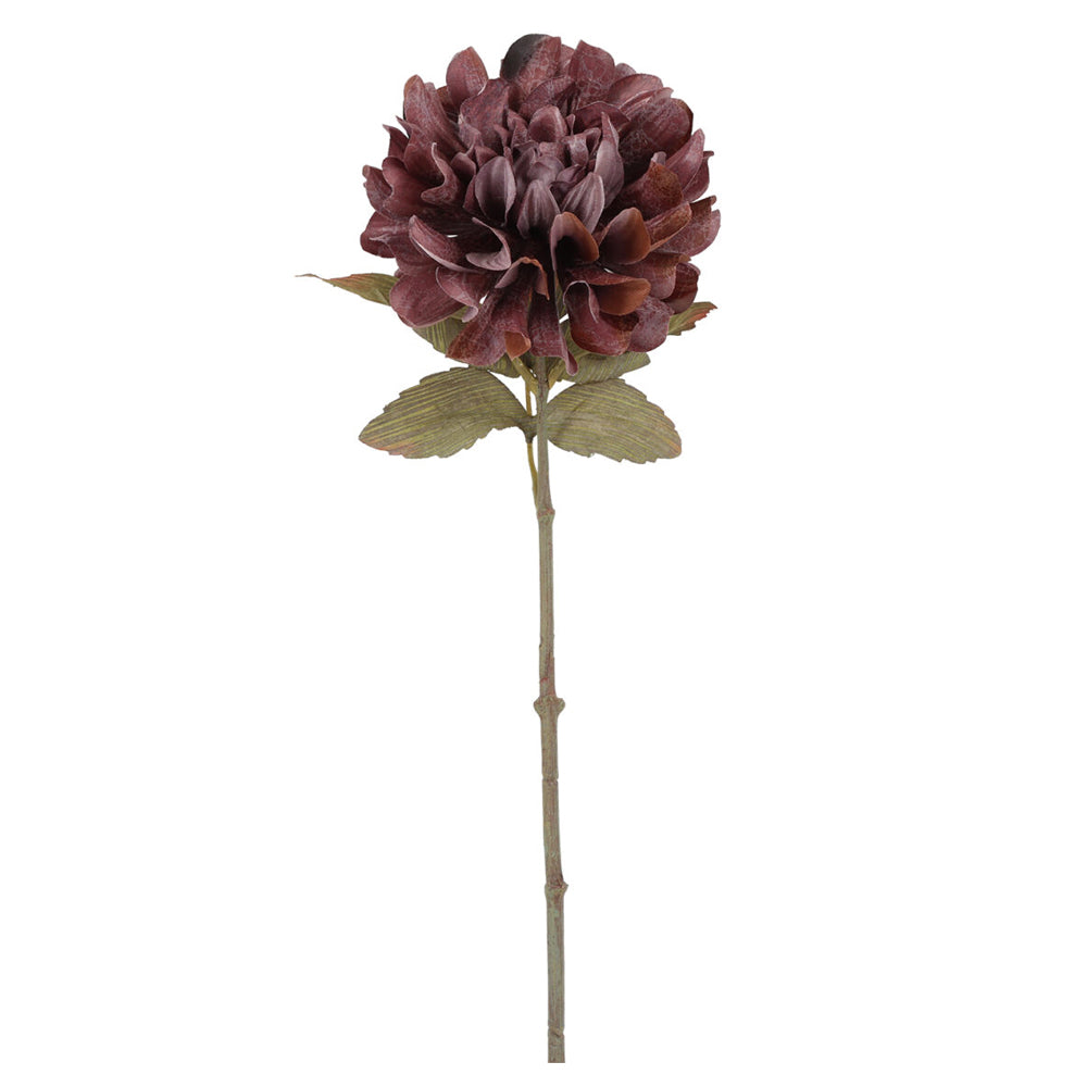 Barbara Dahlia Purple H57cm