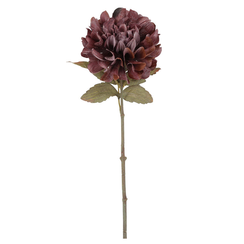 Barbara Dahlia Purple H57cm