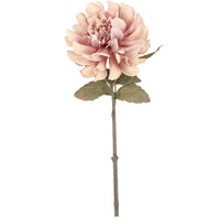 Barbara Dahlia Lys Rosa H57cm