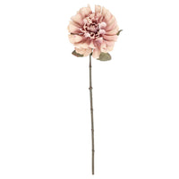 Barbara Dahlia Lys Rosa H57cm