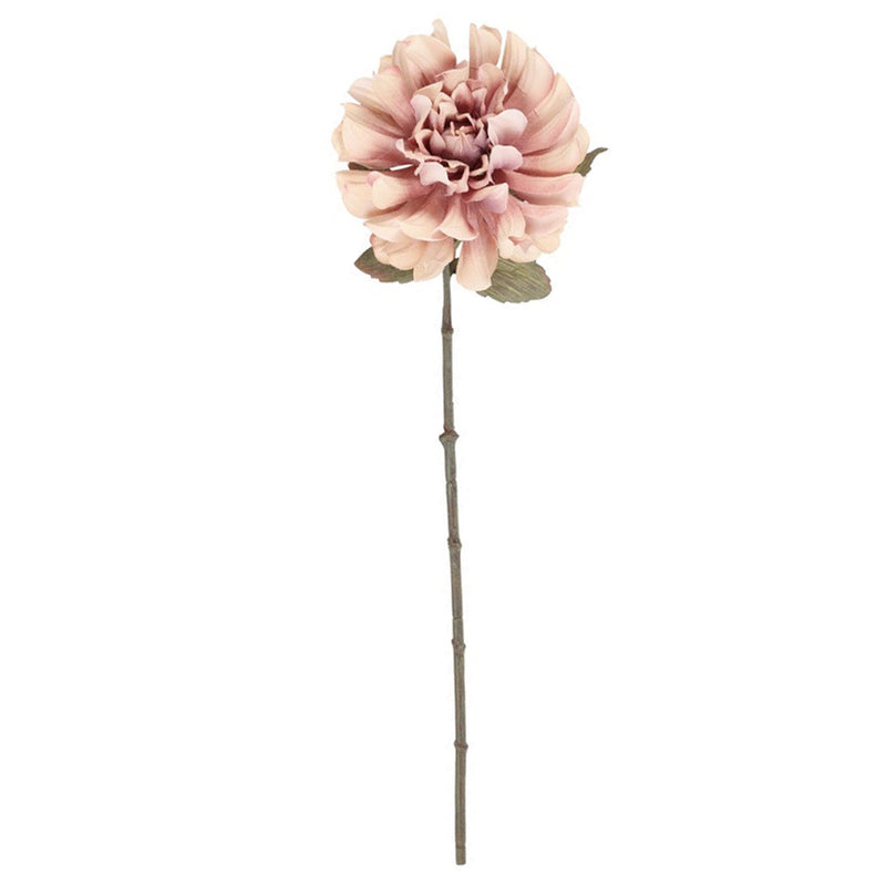 Barbara Dahlia Lys Rosa H57cm